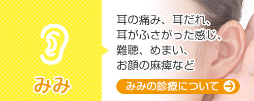 耳の診療について